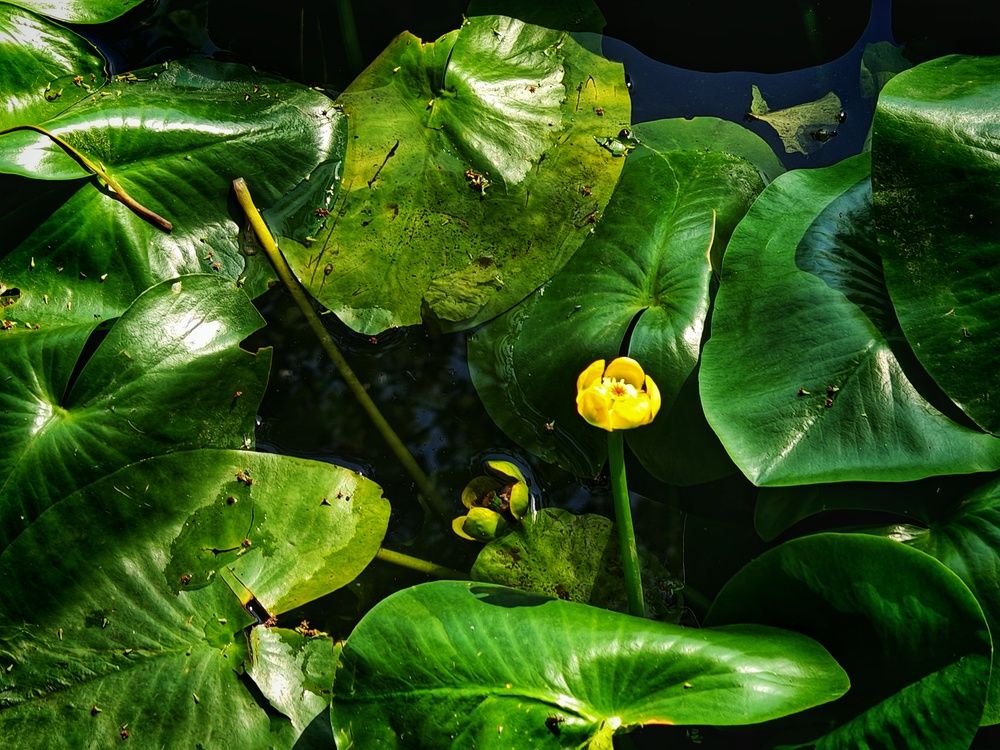 Photograph by Юлия Тишкова