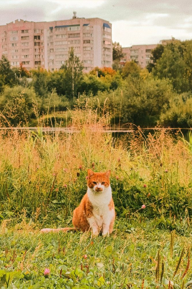 Photograph by Полина