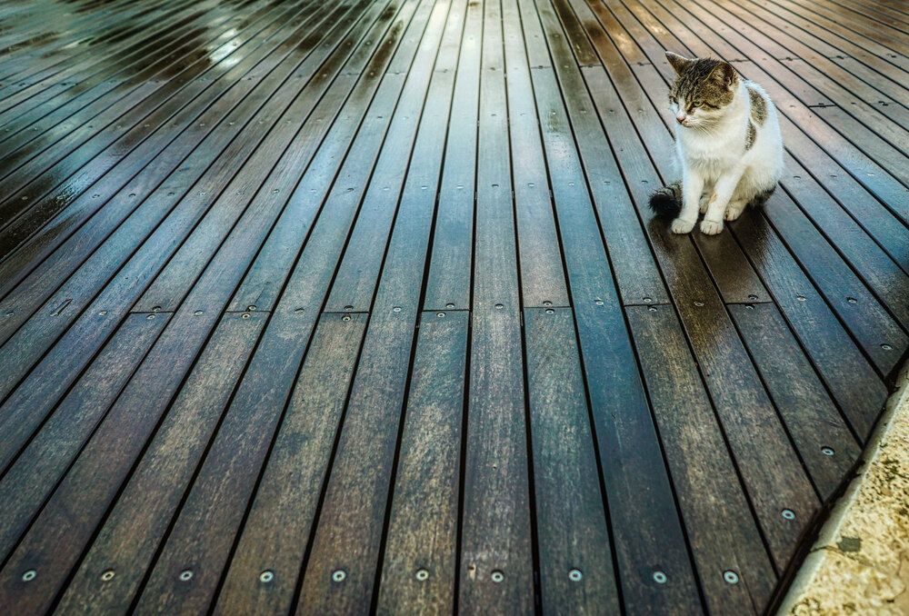 Фотография автора David Solodar