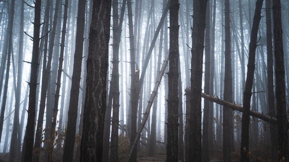 Фотография автора Martin Novak
