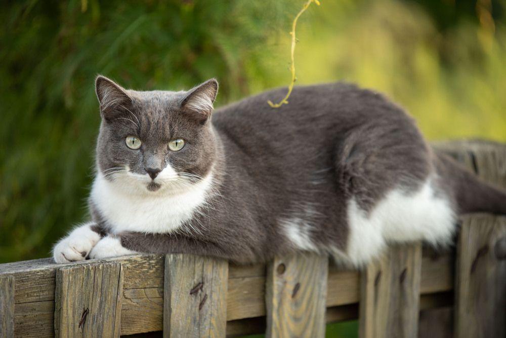 Photograph by Новикова Елена