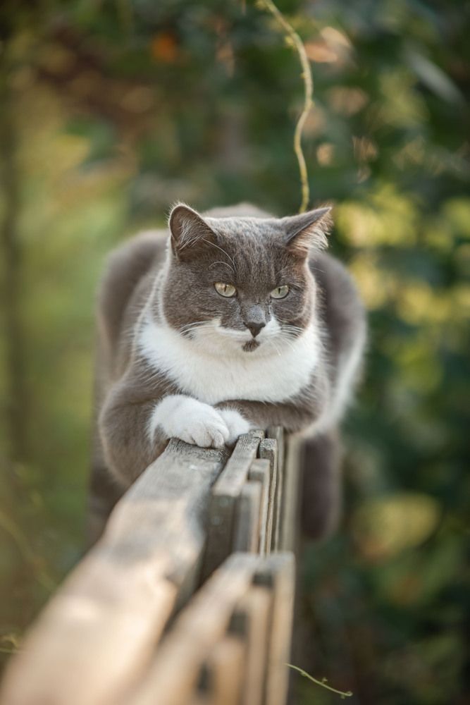 Photograph by Новикова Елена