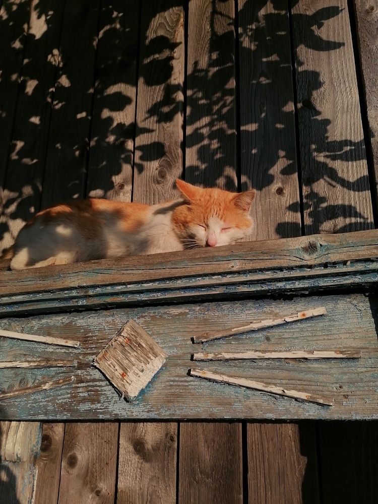 Photograph by Маргарита