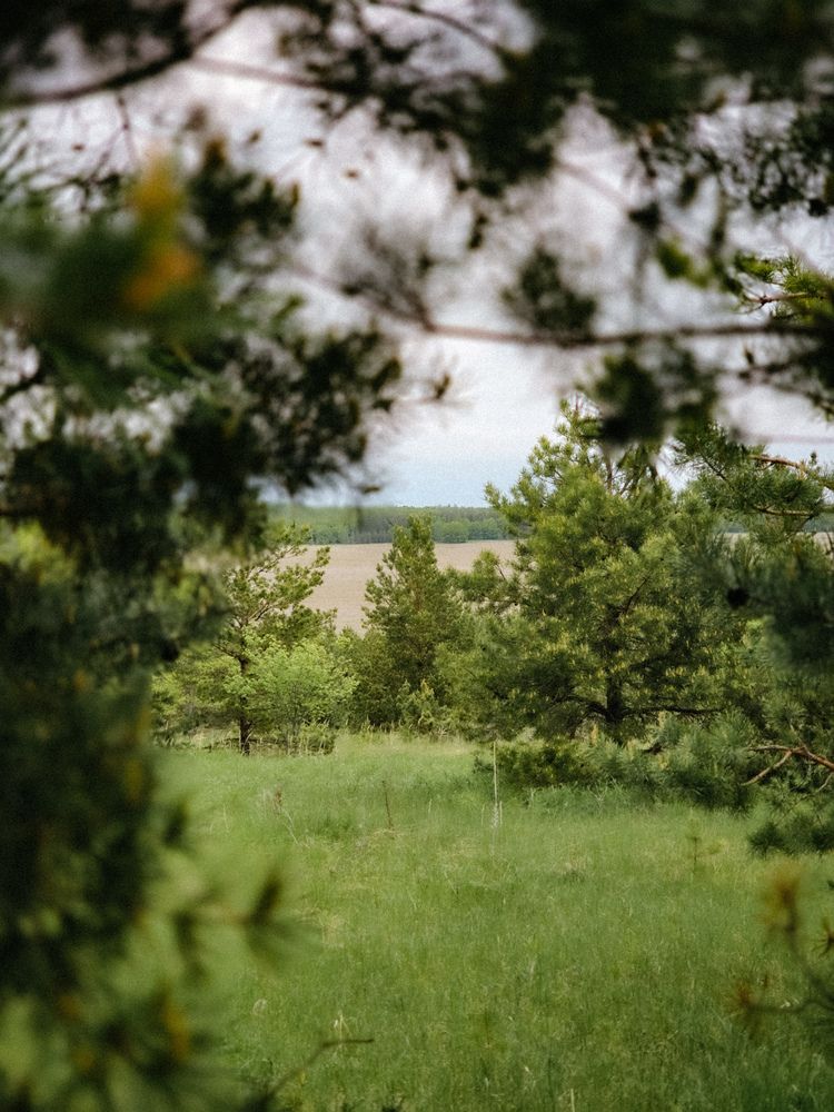 Photograph by Эльза Калюшева