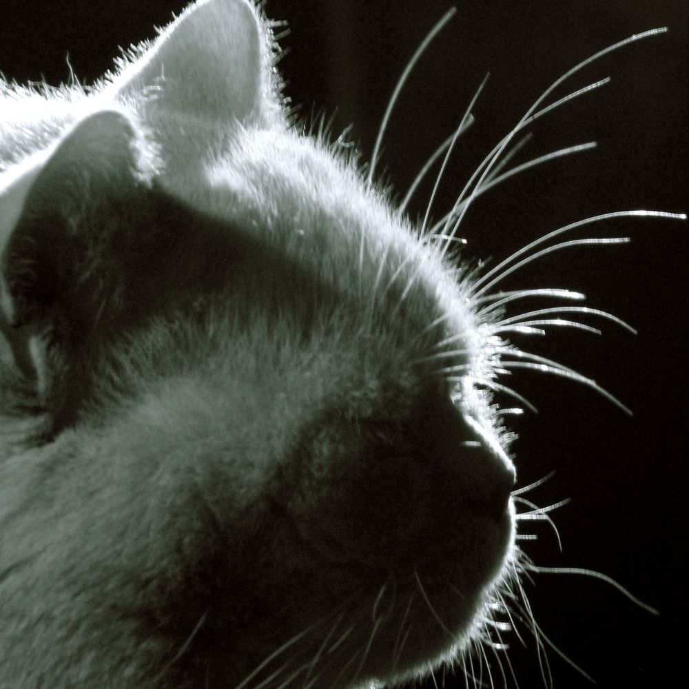 Photograph by Александр Боричевский