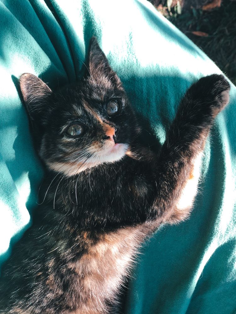 Photograph by Анастасия Короленко