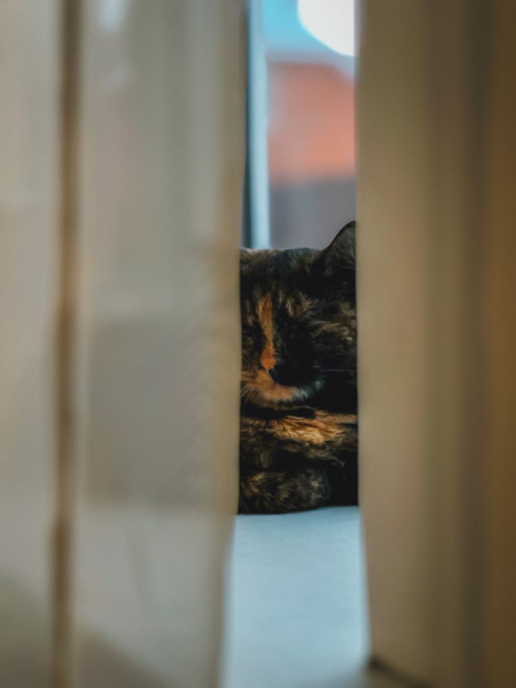 Photograph by Анастасия Короленко