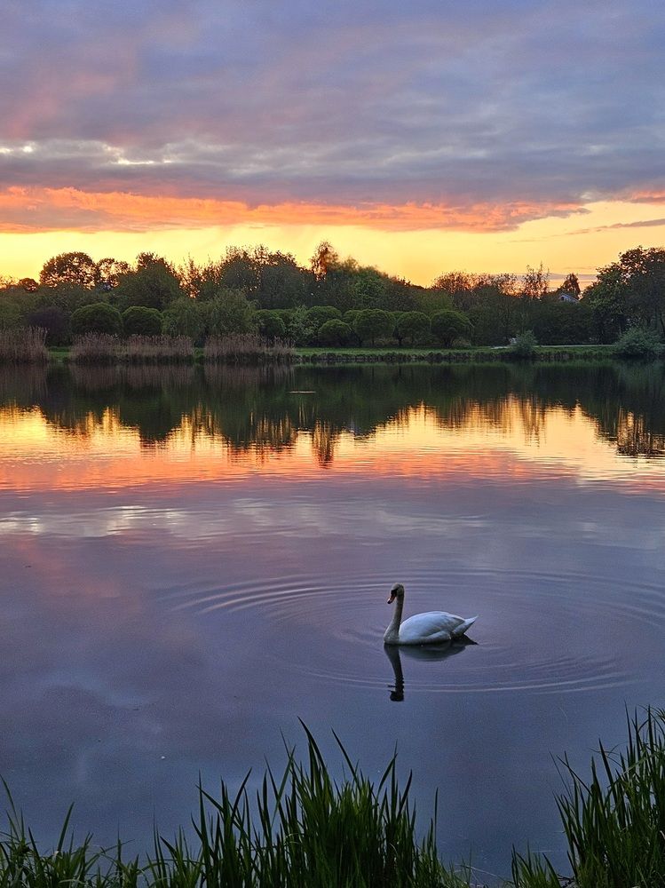 Фотография автора Elena Polonetskaya