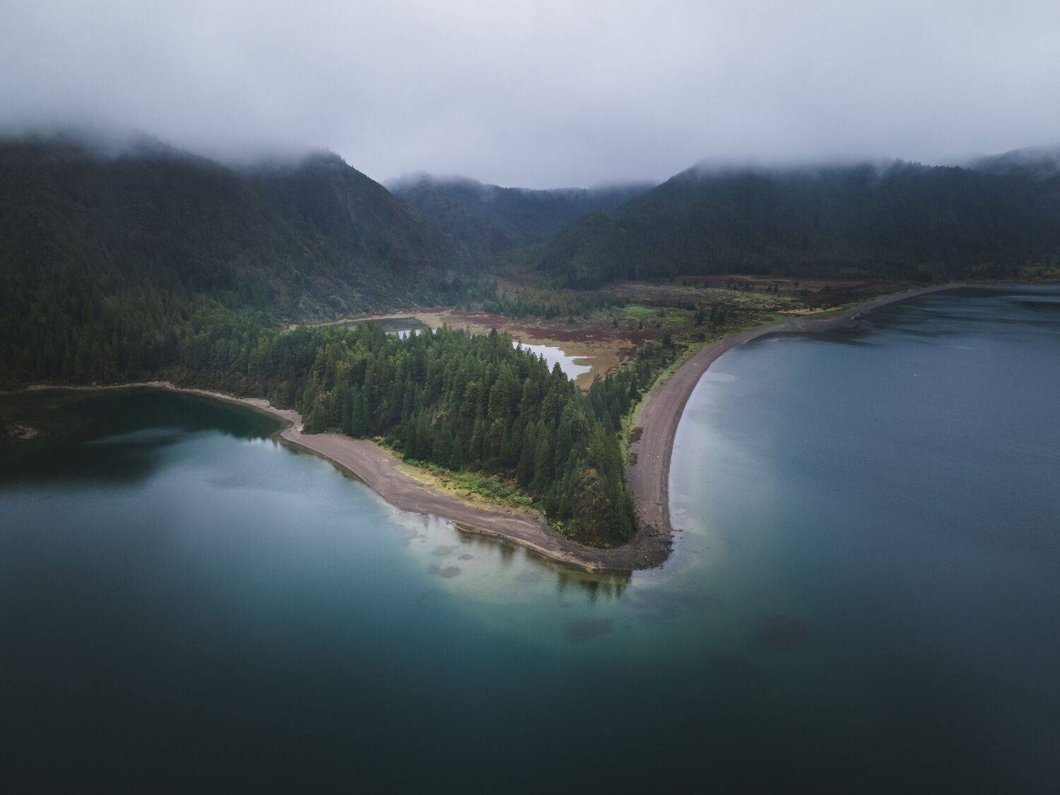 Photo #12232550