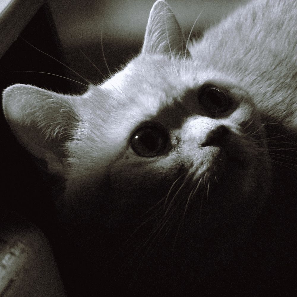 настороженность