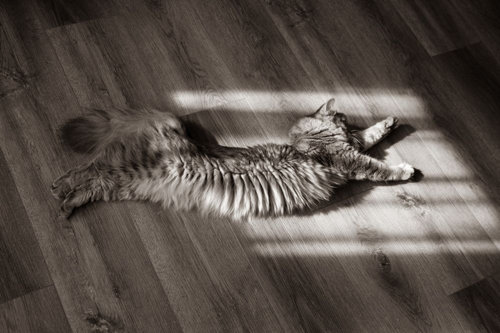 Photograph by Марина Михайлова