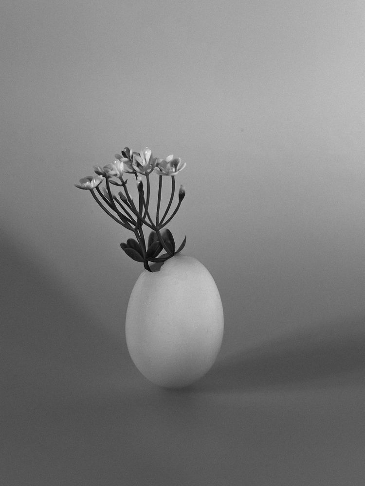 Фотография автора Анастасия