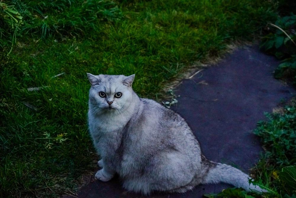 Photograph by Наталья Онофренчук