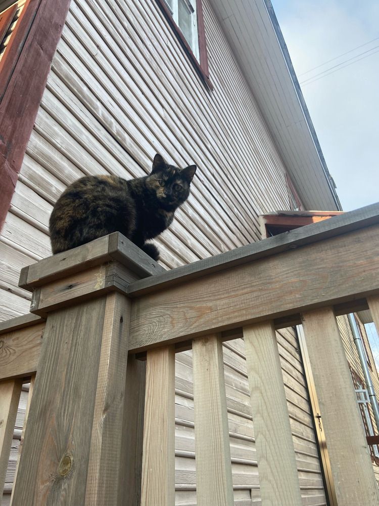 Photograph by Наталья Онофренчук