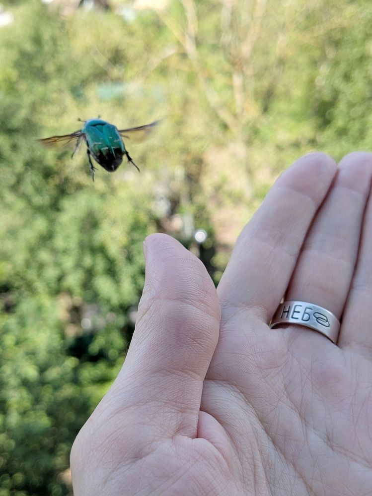 Photograph by Екатерина Чижевская