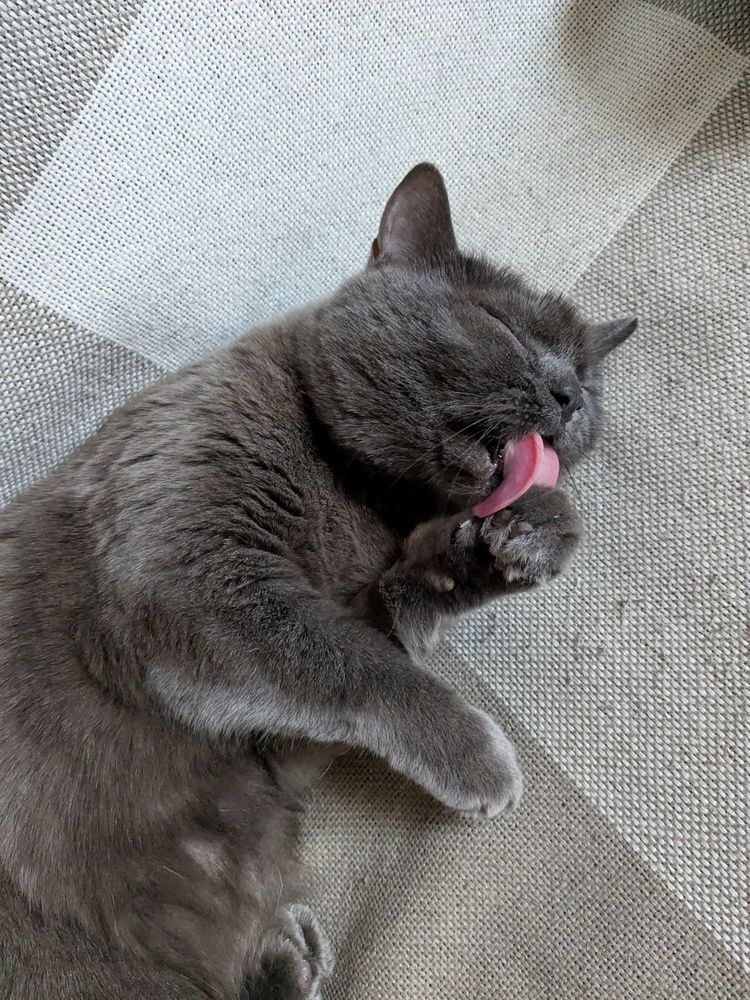 Photograph by Екатерина Чижевская