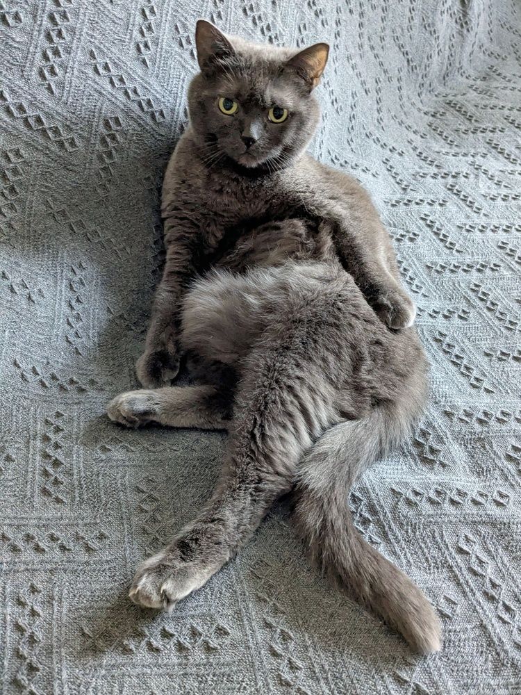 Photograph by Екатерина Чижевская