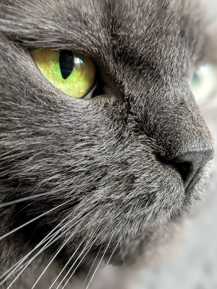 Photograph by Екатерина Чижевская