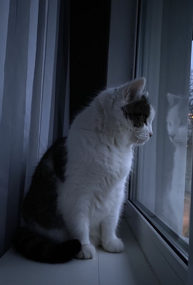 Photograph by Анна Кулакова