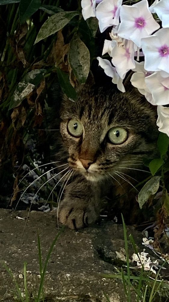 Photograph by Анна Кулакова