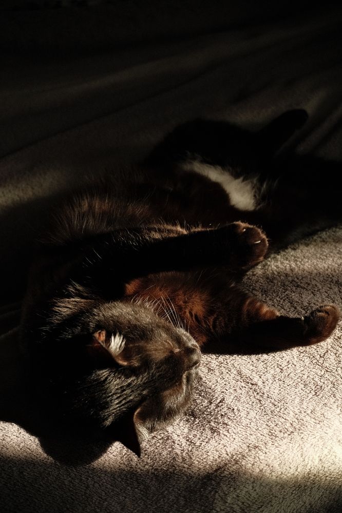 Photograph by Владимир Лукашев