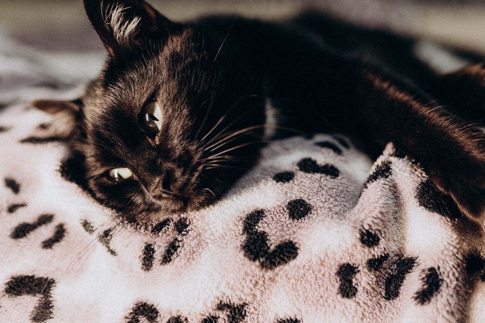 Photograph by Владимир Лукашев