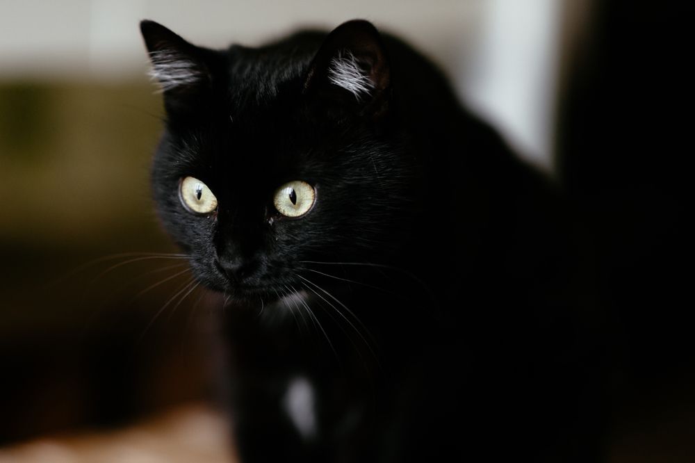 Photograph by Владимир Лукашев