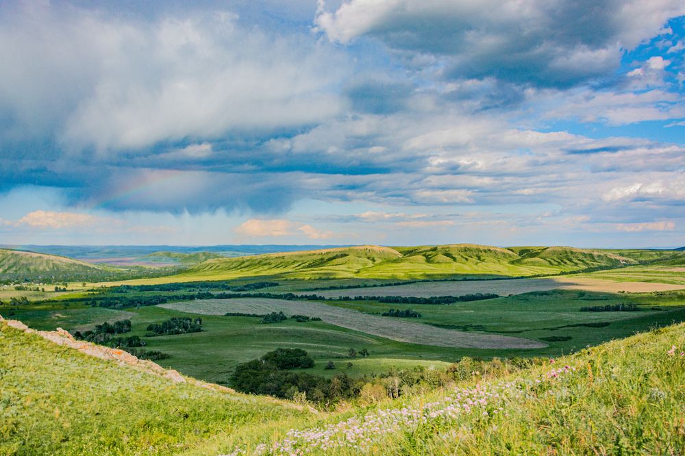 Photograph by Николай Михалев