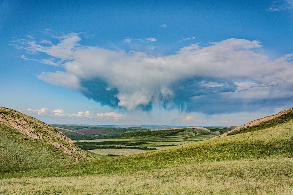 Photograph by Николай Михалев