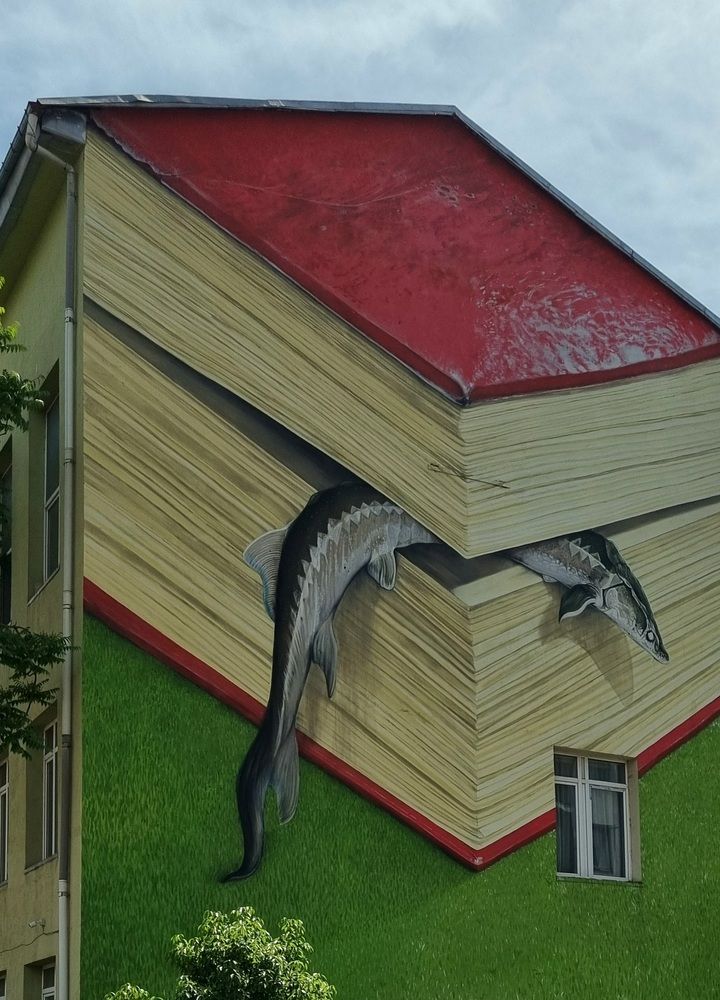 Photograph by Natasha