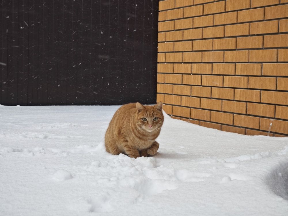 Photograph by Валерий Гудков