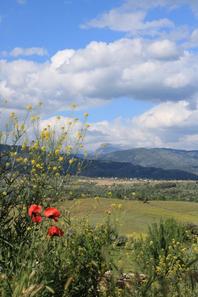 Photograph by Cengiz Yalcin