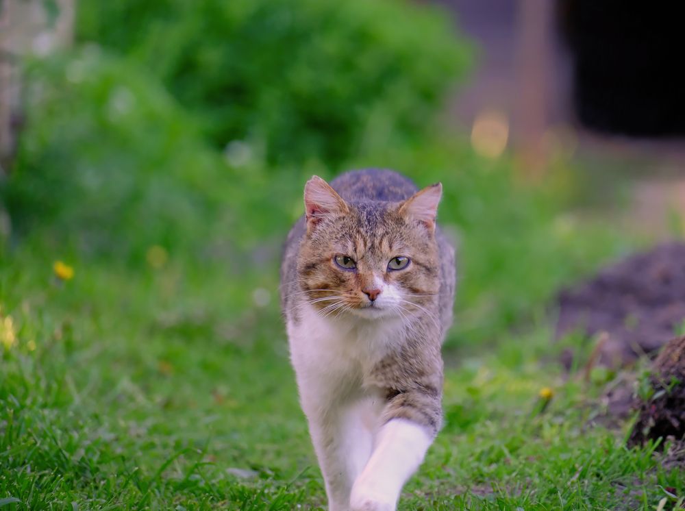 Photograph by Надежда Кангина