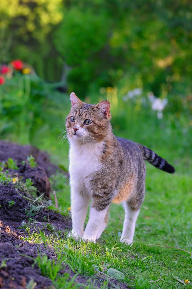 Photograph by Надежда Кангина