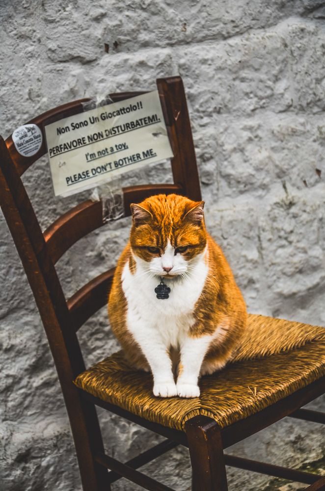 Photograph by Jordan Bianchi