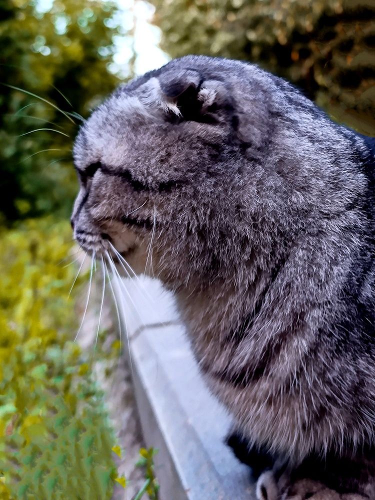 На прогулке