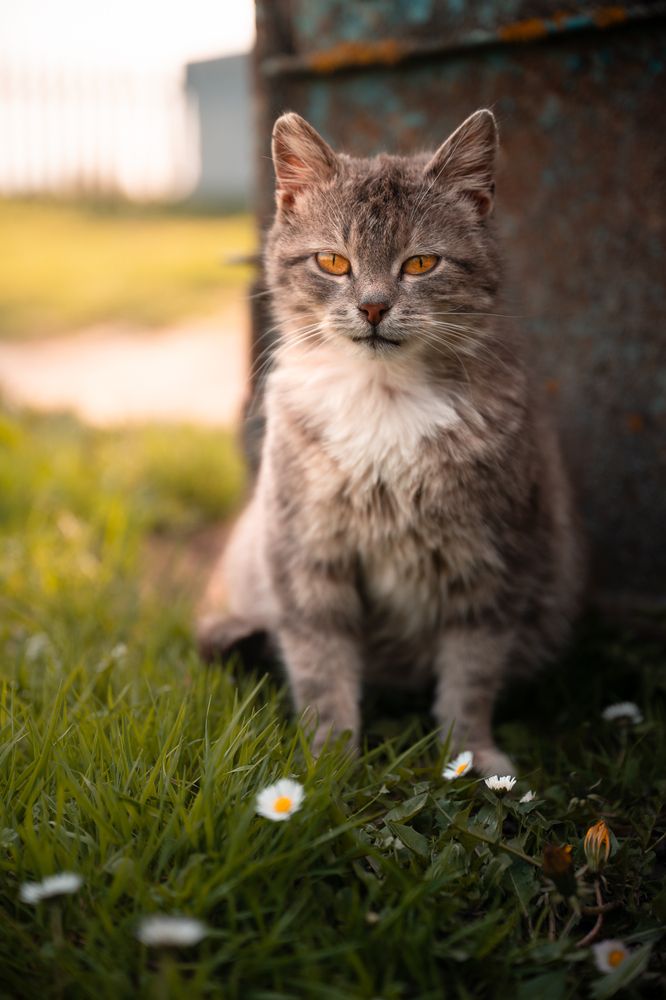 Фотография автора Богдан Михаськів