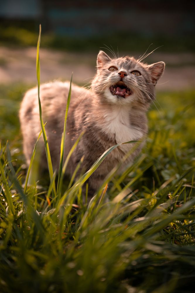 Фотография автора Богдан Михаськів