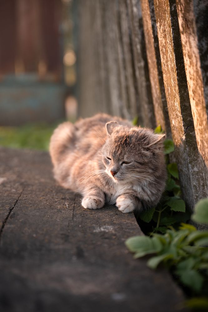 Фотография автора Богдан Михаськів