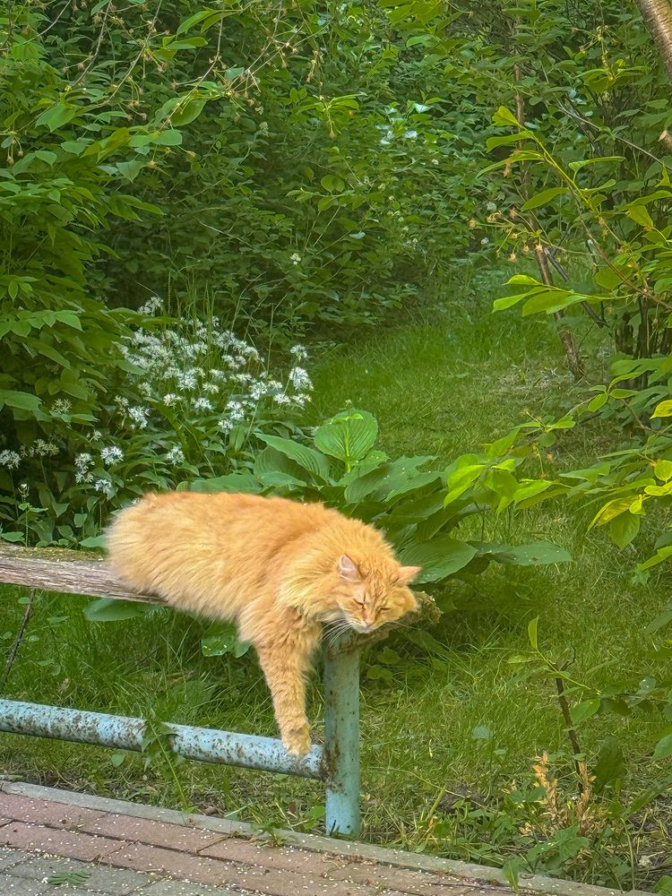 Photograph by Валерия Первенецкене
