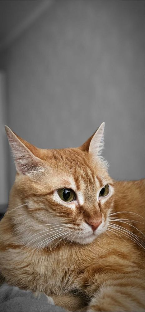 Photograph by Елизавета Лемешко