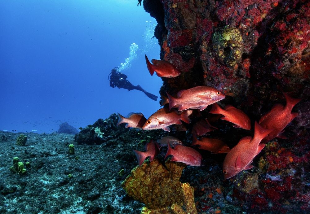 Photograph by Vitor Bouth