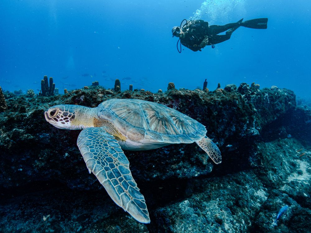 Photograph by Vitor Bouth