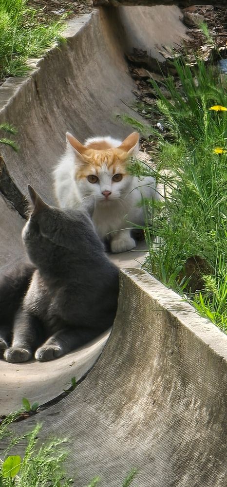 Photograph by Елизавета Лемешко