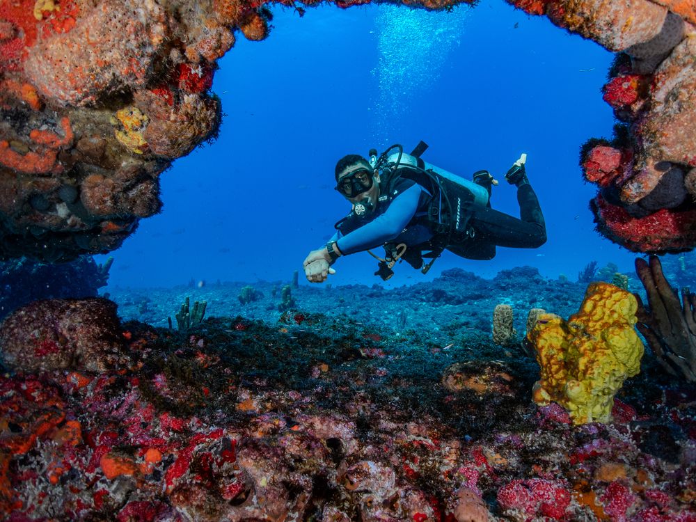 Photograph by Vitor Bouth