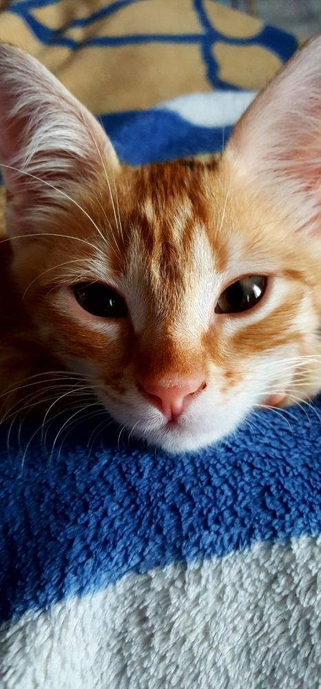 Photograph by Елизавета Лемешко