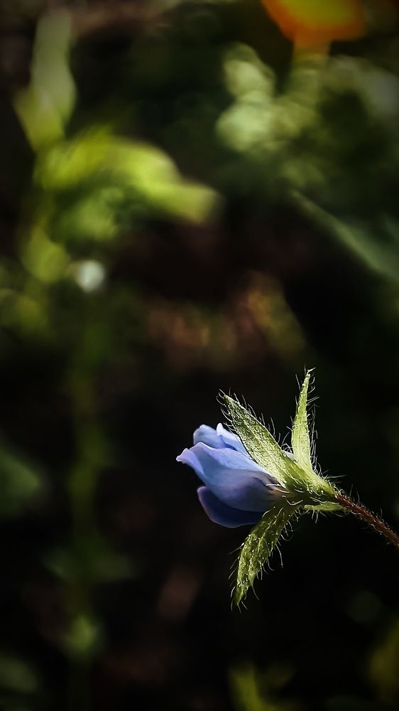 Photograph by Жанна Калашникова