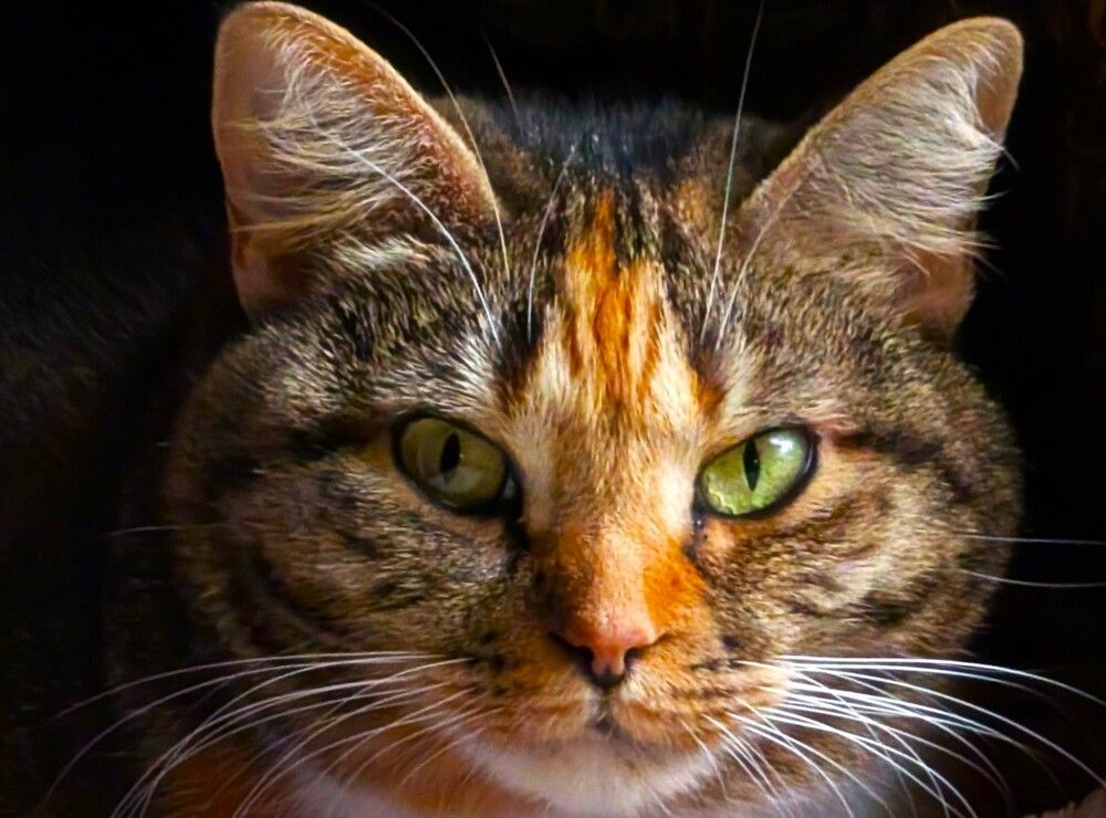 Photograph by Carol Taylor