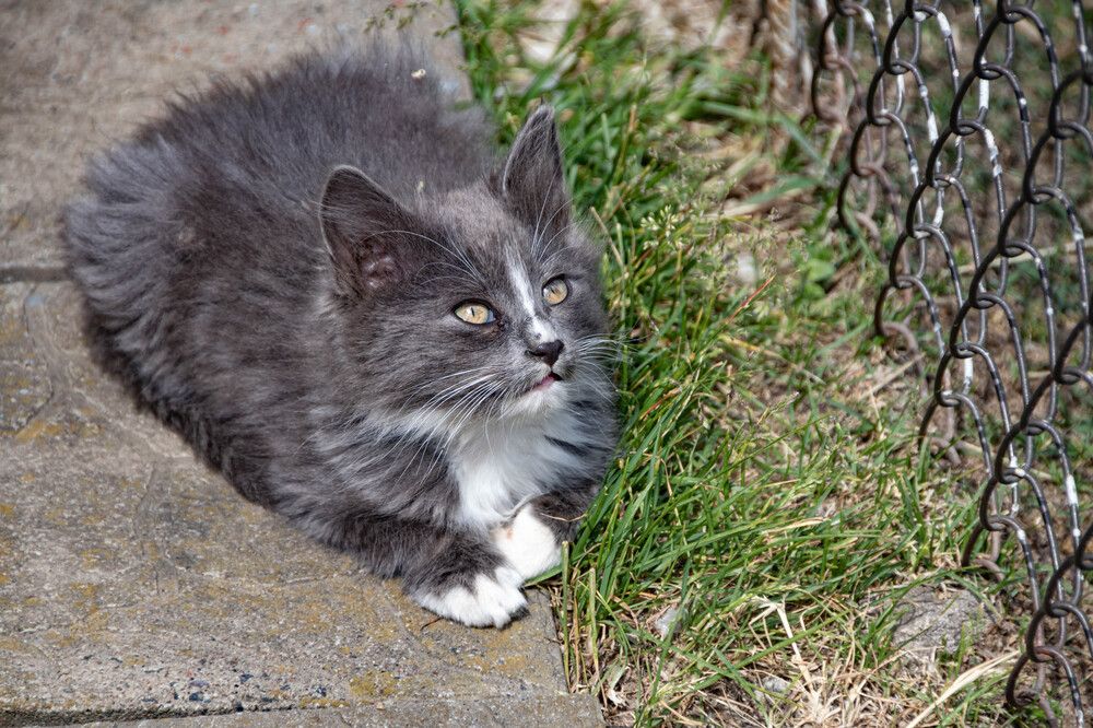 Фотография автора Екатерина Счасная