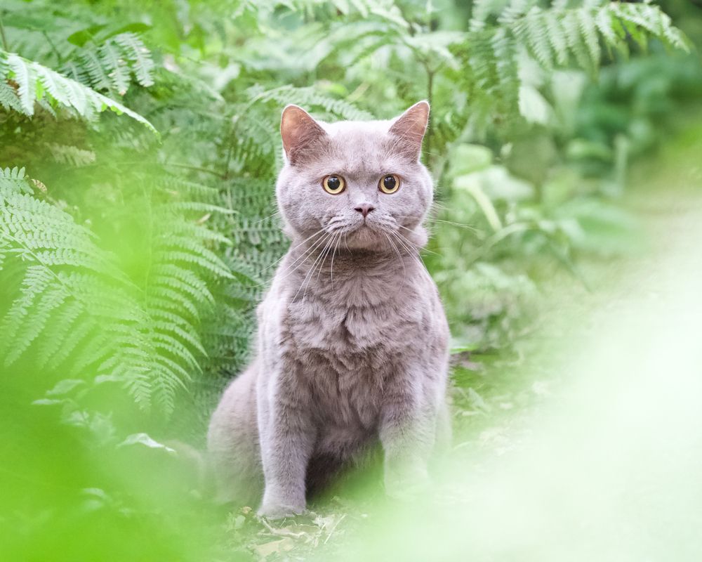 Photograph by Natalie Taylor